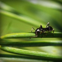 /album/bigwore-information/photolia-a05-jpg/