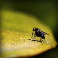 /album/bigwore-information/photolia-a07-jpg/